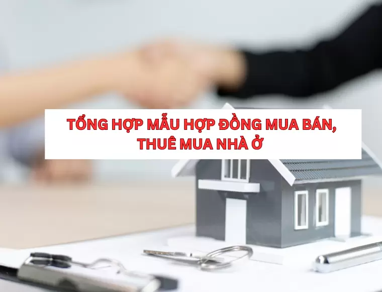 Tổng Hợp Mẫu Hợp Đồng Mua Bán, Thuê Mua Nhà Ở