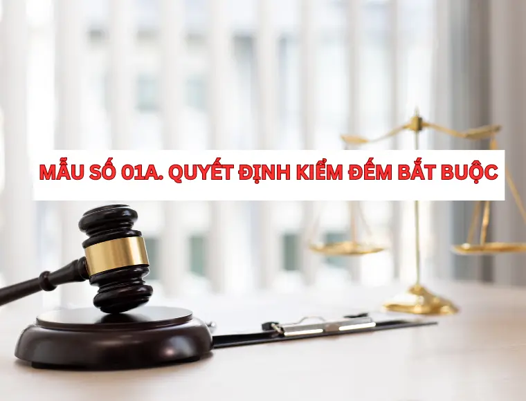 Mẫu Số 01A. Quyết Định Kiểm Đếm Bắt Buộc