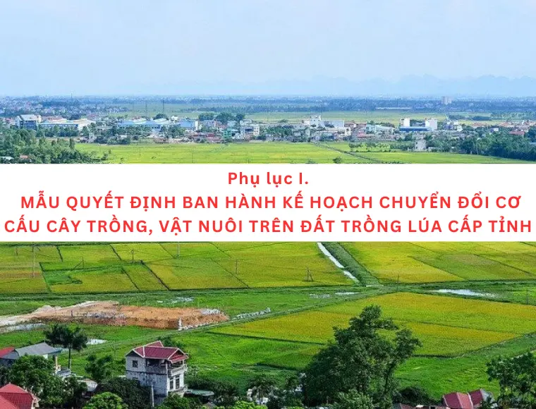 Phụ Lục I. Mẫu Quyết Định Ban Hành Kế Hoạch Chuyển Đổi Cơ Cấu Cây Trồng, Vật Nuôi Trên Đất Trồng Lúa Cấp Tỉnh
