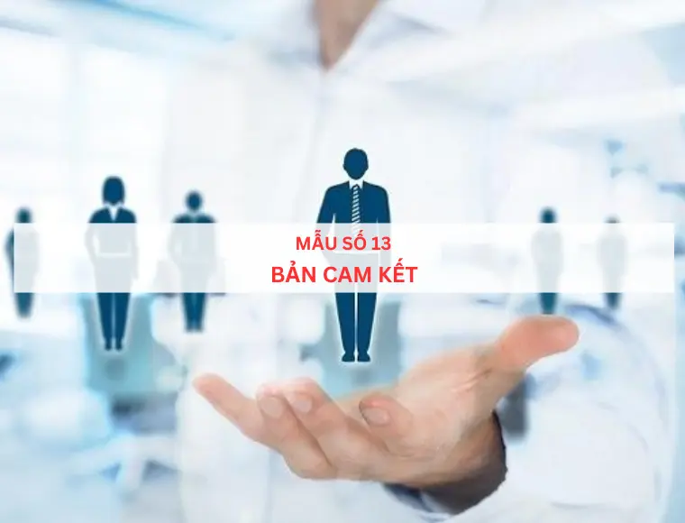 Mẫu số 13 Bản cam kết