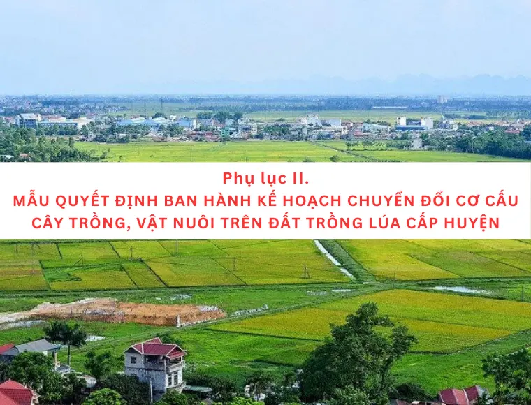 Phụ Lục II Mẫu Quyết Định Ban Hành Kế Hoạch Chuyển Đổi Cơ Cấu Cây Trồng, Vật Nuôi Trên Đất Trồng Lúa Cấp Huyện