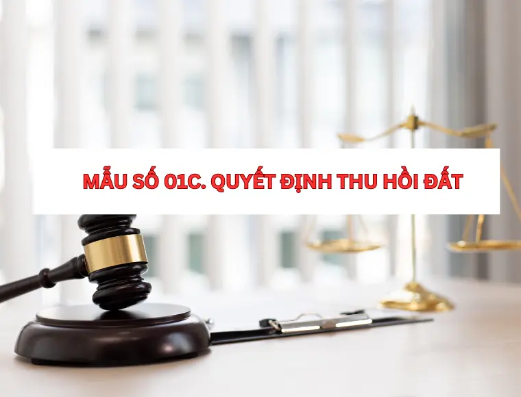Mẫu Số 01C. Quyết Định Thu Hồi Đất