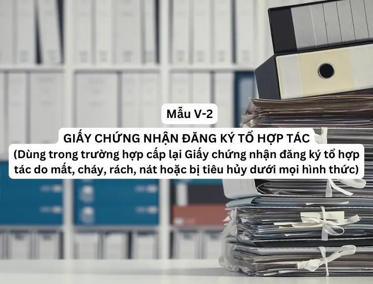 Mẫu V- 2  Giấy chứng nhận đăng ký tổ hợp tác (Dùng trong trường hợp cấp lại Giấy chứng nhận đăng ký tổ hợp tác do mất, cháy, rách, nát hoặc bị tiêu hủy dưới hình thức khác)