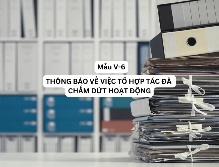 Mẫu V-6 Thông báo về việc tổ hợp tác đã chấm dứt hoạt động