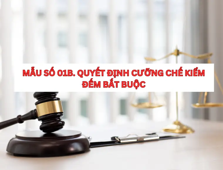 Mẫu Số 01b. Quyết Định Cưỡng Chế Kiểm Đếm Bắt Buộc