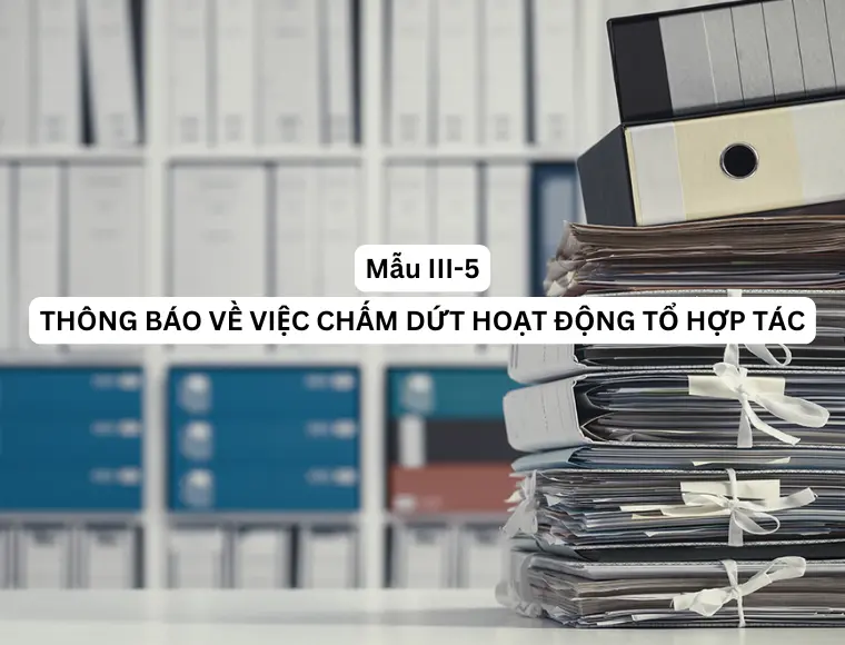 Mẫu III-5 Thông báo về việc chấm dứt hoạt động tổ hợp tác