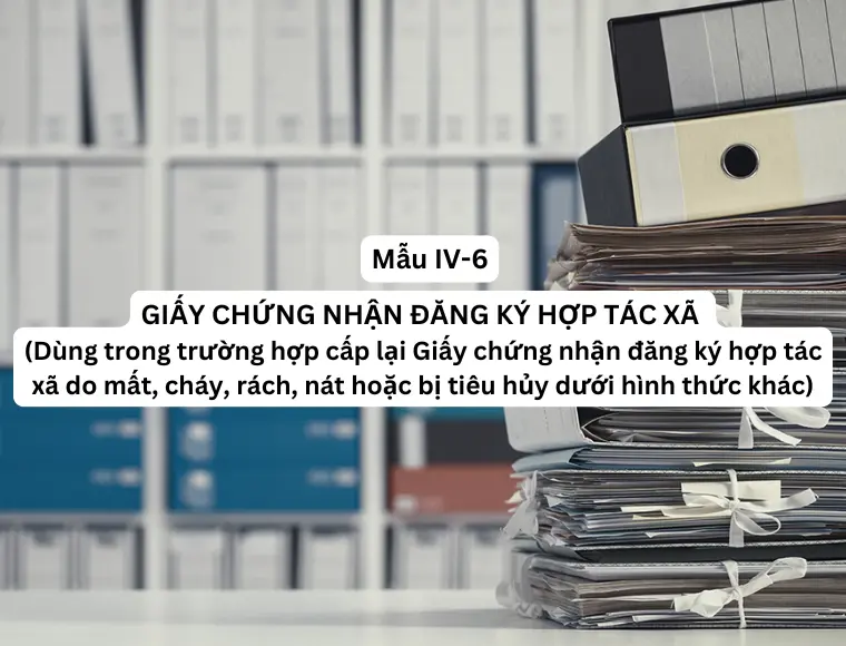 Mẫu IV- 6 Giấy chứng nhận đăng ký hợp tác xã (Dùng trong trường hợp cấp lại Giấy chứng nhận đăng ký hợp tác xã do mất, cháy, rách, nát hoặc bị tiêu hủy dưới hình thức khác)