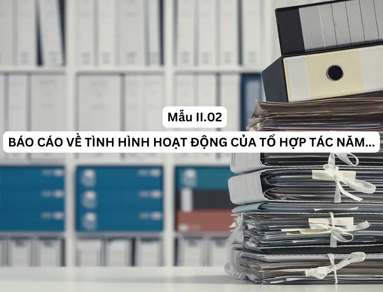 Mẫu II. 02 Báo Cáo Về Tình Hình Hoạt Động Của Tổ Hợp Tác Năm...