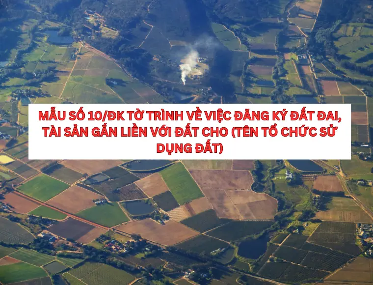 Mẫu Số 10/ĐK Tờ Trình Về Việc Đăng Ký Đất Đai, Tài Sản Gắn Liền Với Đất Cho (Tên Tổ Chức Sử Dụng Đất)
