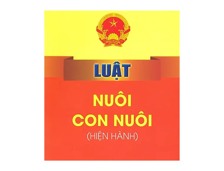 Luật Nuôi Con Nuôi 2010